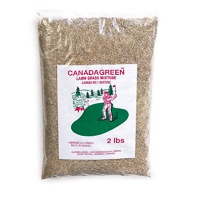 Canada Green Grass Lawn Seed-4 Lbs.   